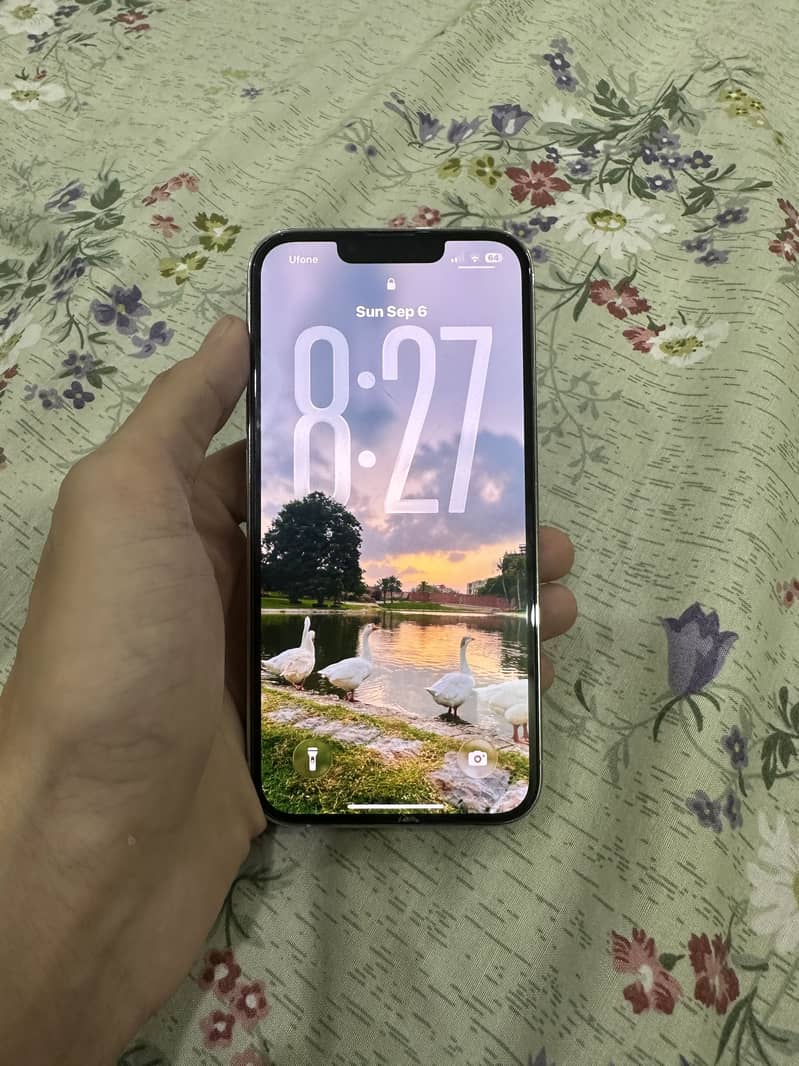 Apple iPhone 13 Pro 6