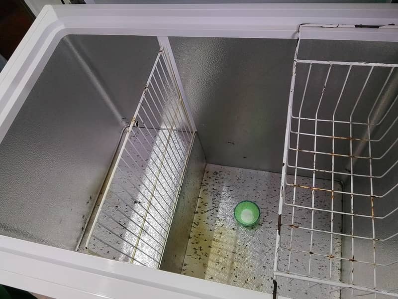 waves freezer 10