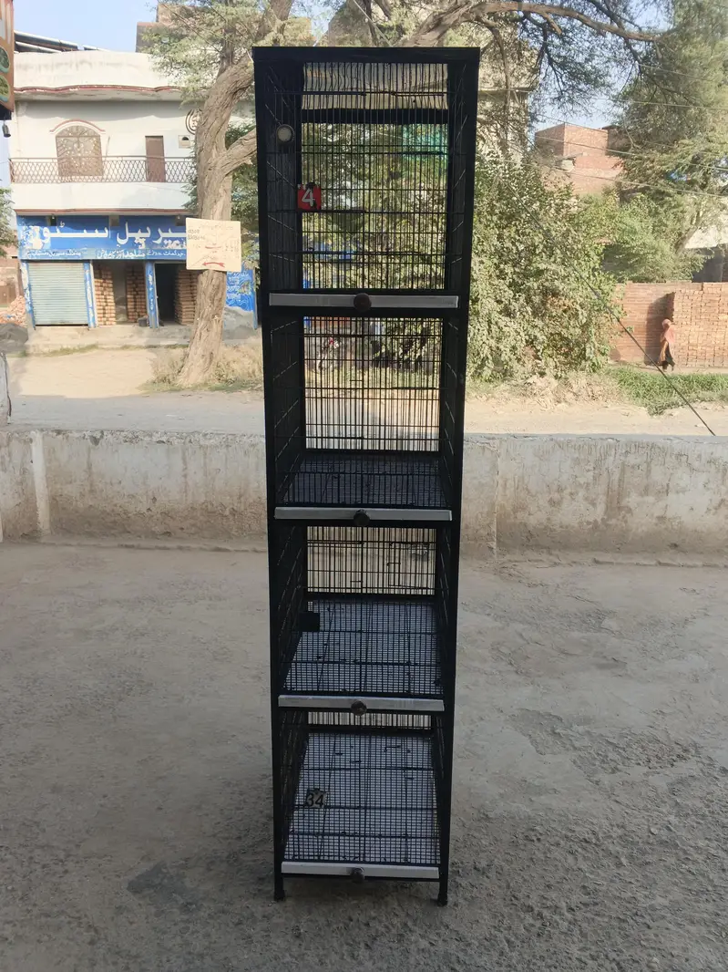iron & steel cage