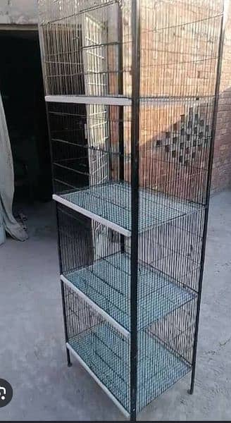birds cage 10000