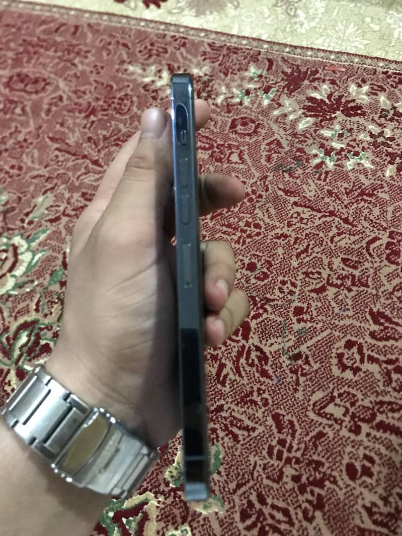 Apple iPhone 13 Pro Max 1