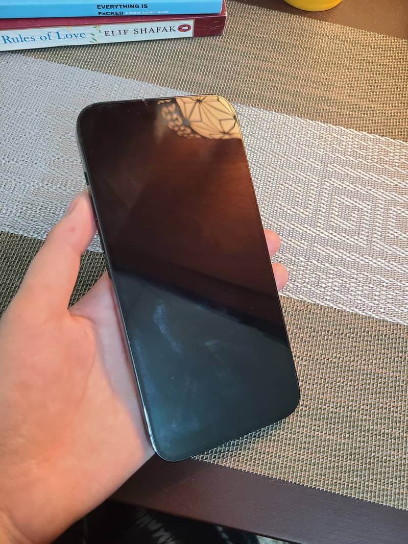 iPhone 14 Pro Max 6