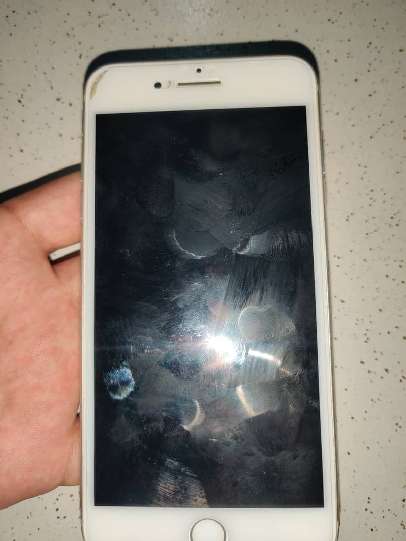 Apple iPhone 7 Plus 3
