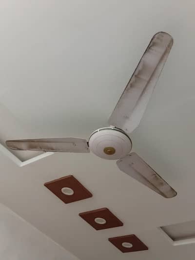 fan for sale
