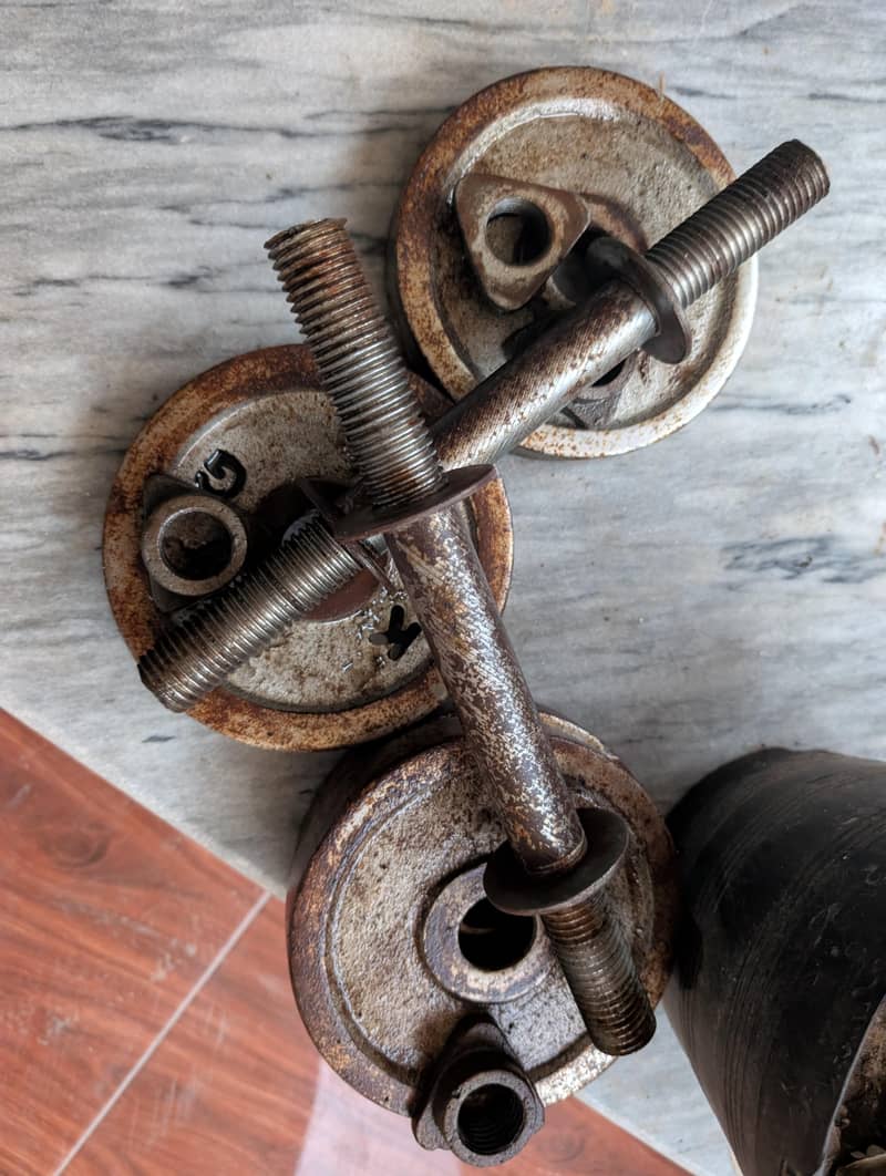 Chrome dumbbell 1