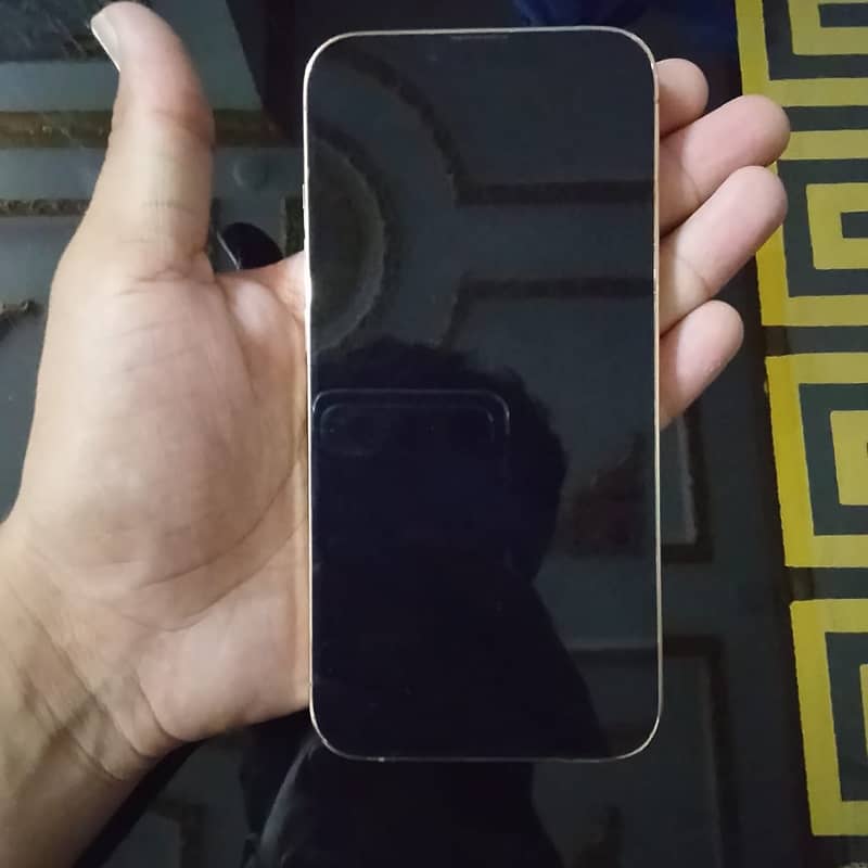 Apple iPhone 13 Pro 2