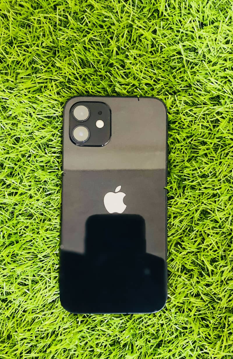 Apple iPhone 12 0