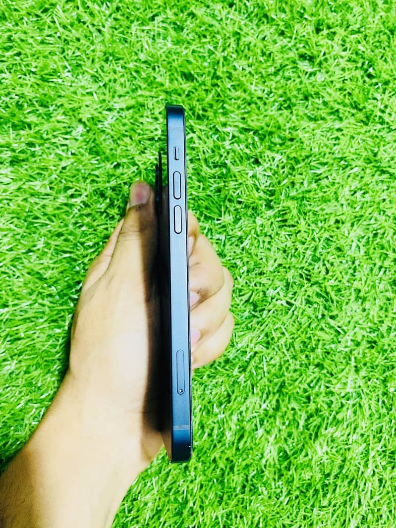 Apple iPhone 12 1