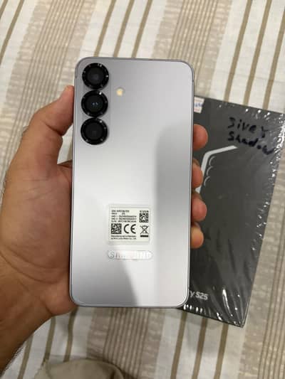 Samsung Galaxy S25