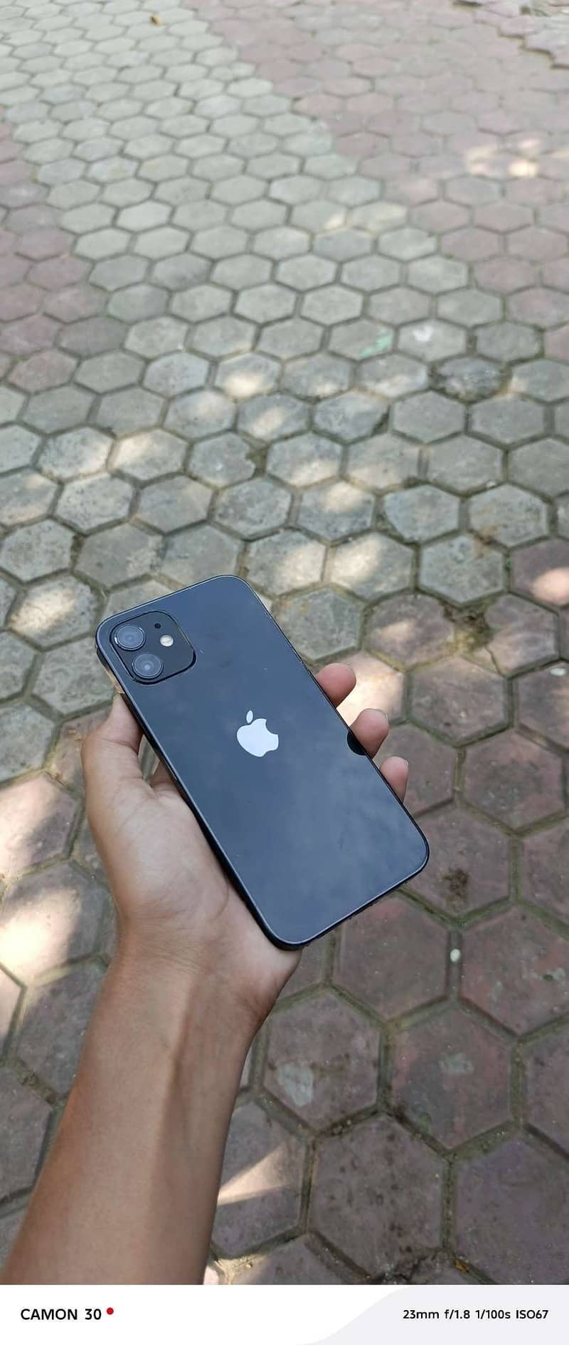 Apple iPhone 12 1