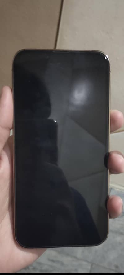 Apple iPhone 13 Pro