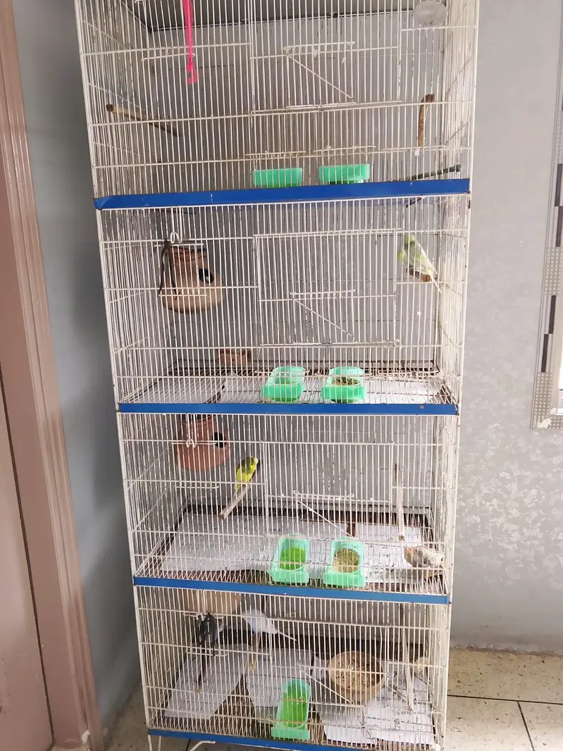 CAGE FOR SALE — photo 2