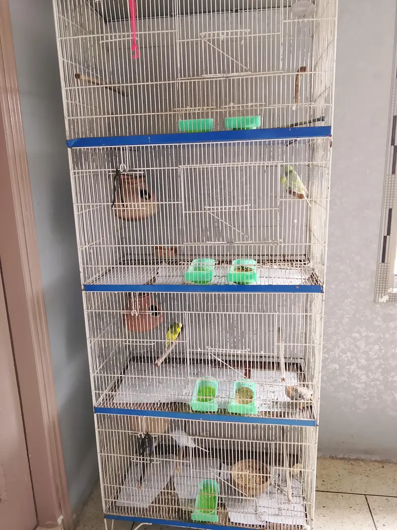 CAGE FOR SALE — photo 3