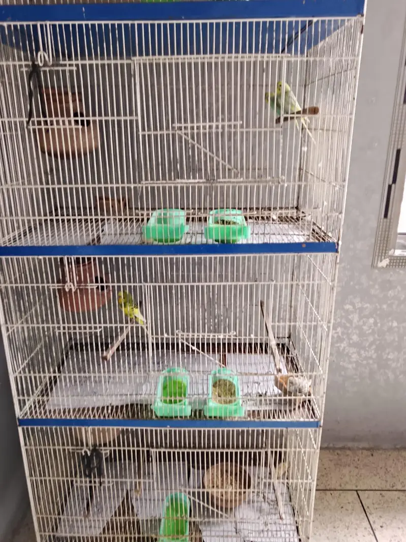 CAGE FOR SALE — photo 4