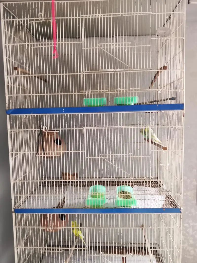 CAGE FOR SALE — photo 5
