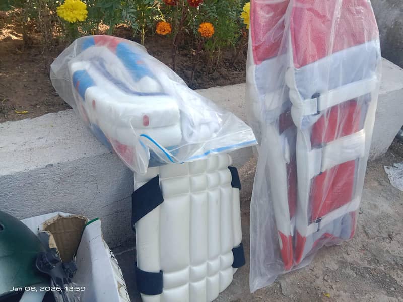Cricket Kit 6
