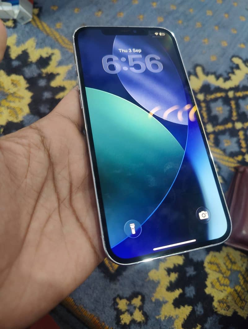 Apple iPhone 12 Pro Max 5