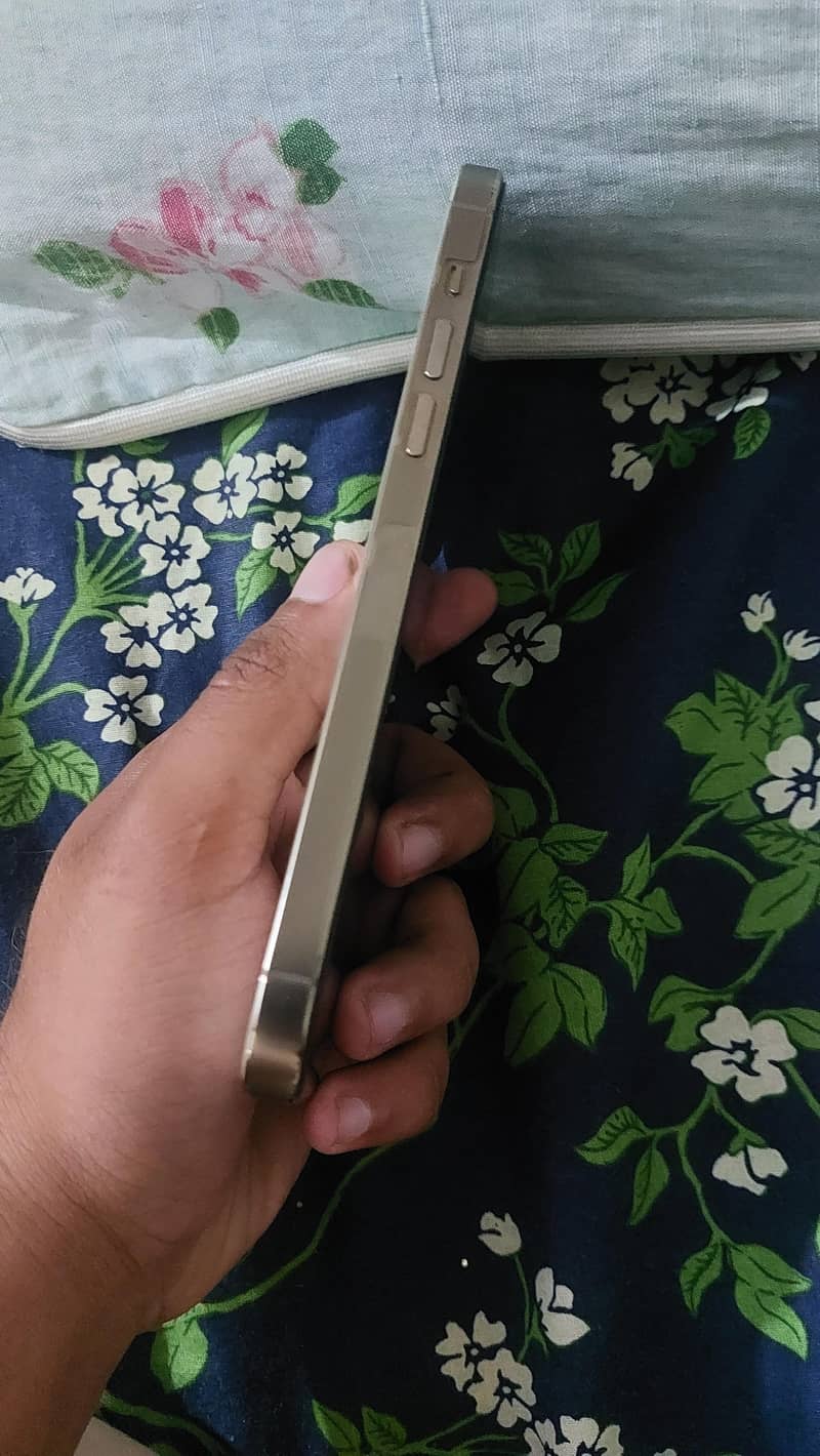 Apple iPhone 14 Pro Max 4