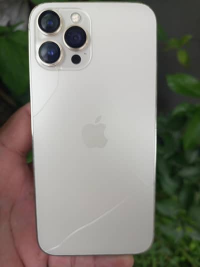 Apple iPhone 12 Pro Max