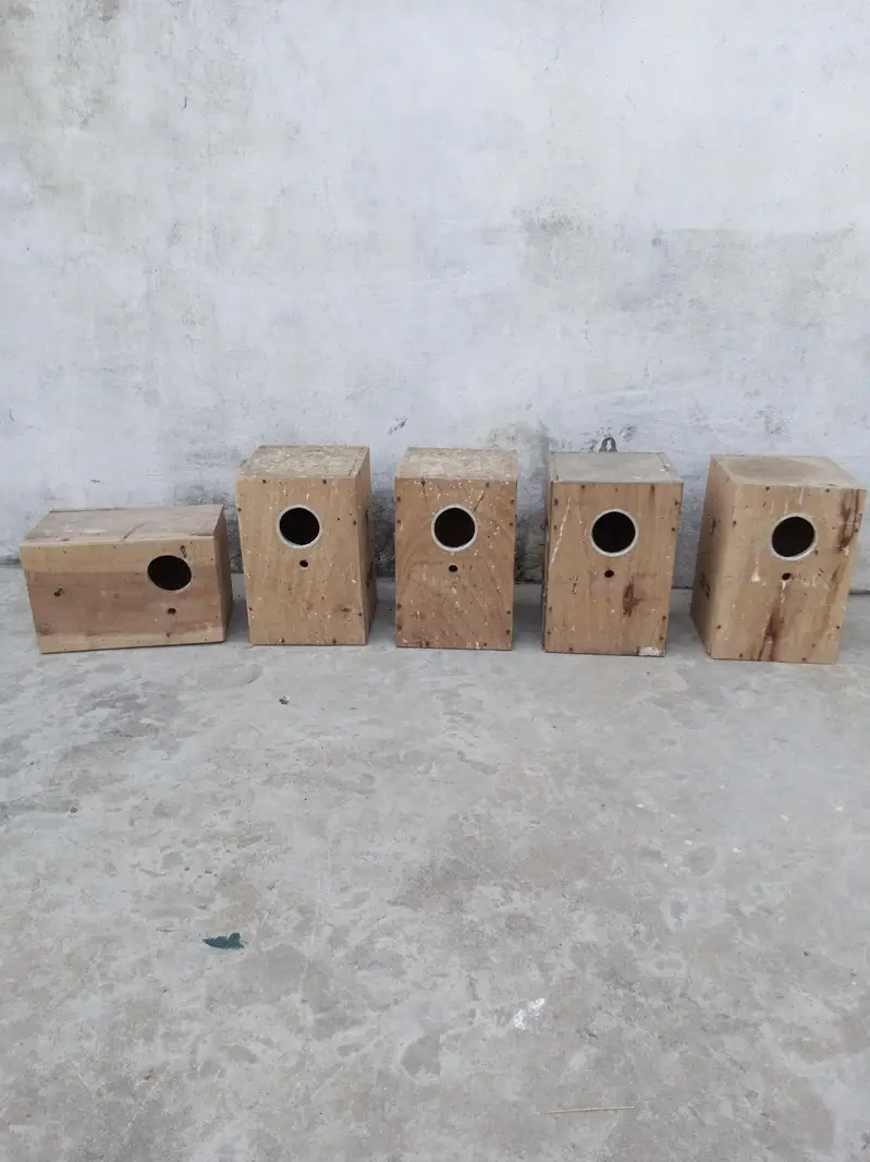 2 pair Australian nd cage box for sale — photo 4