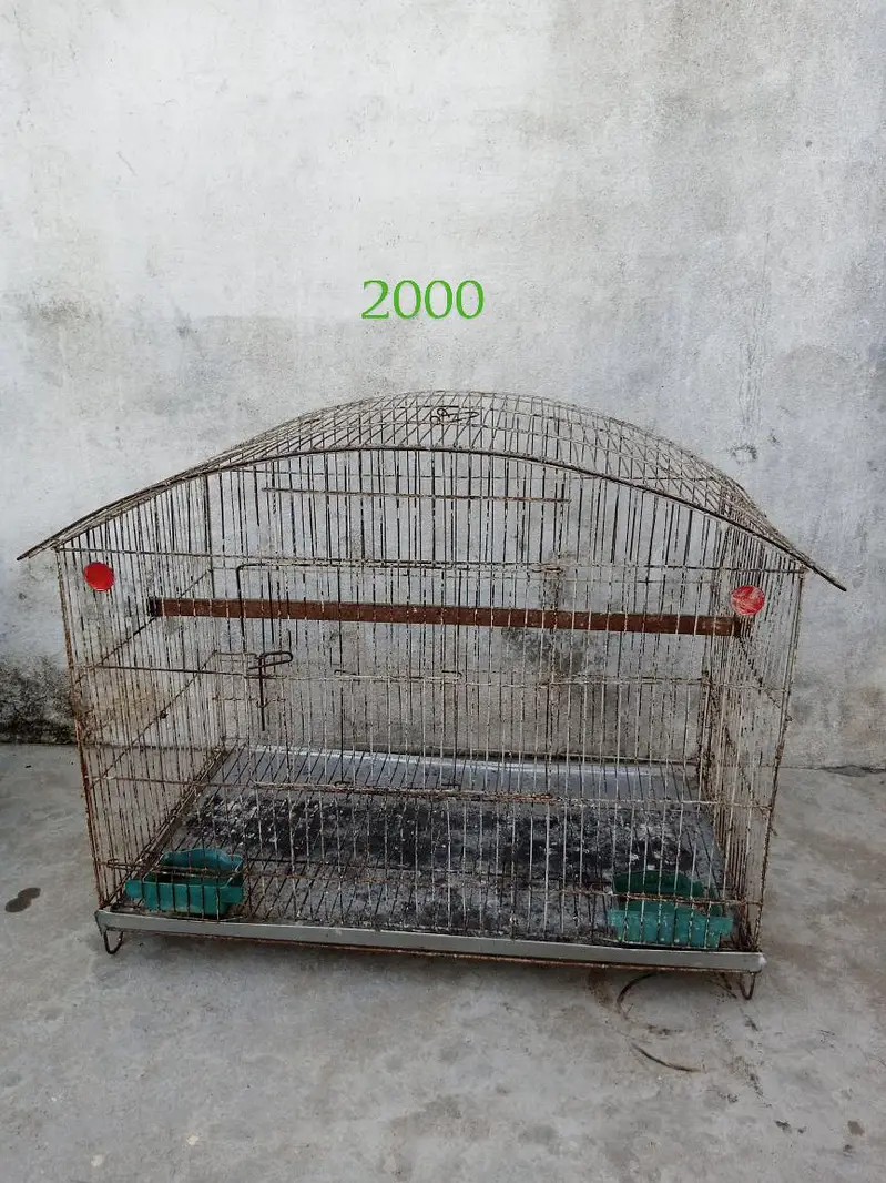 2 pair Australian nd cage box for sale — photo 5