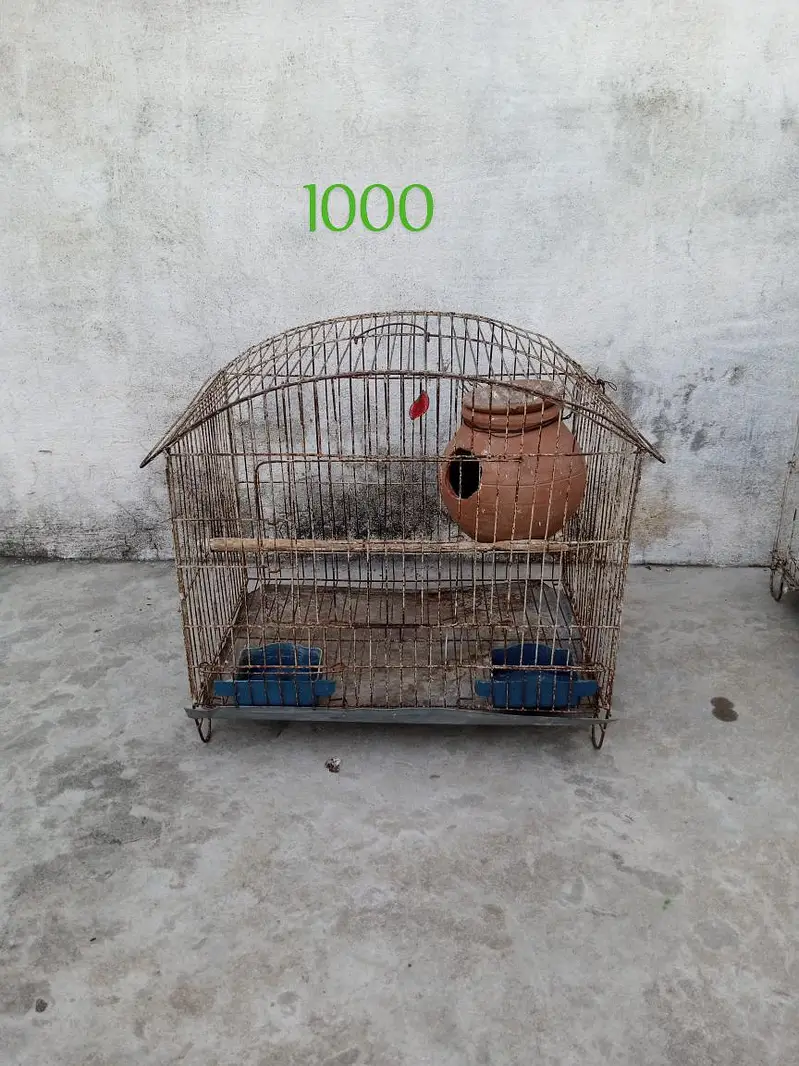 2 pair Australian nd cage box for sale — photo 6