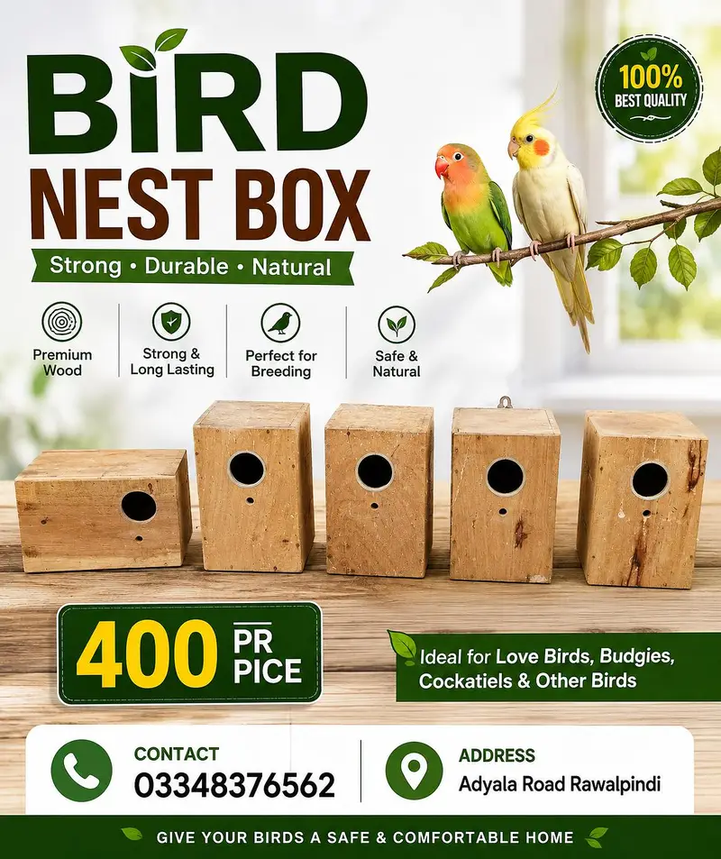 2 pair Australian nd cage box for sale — photo 7