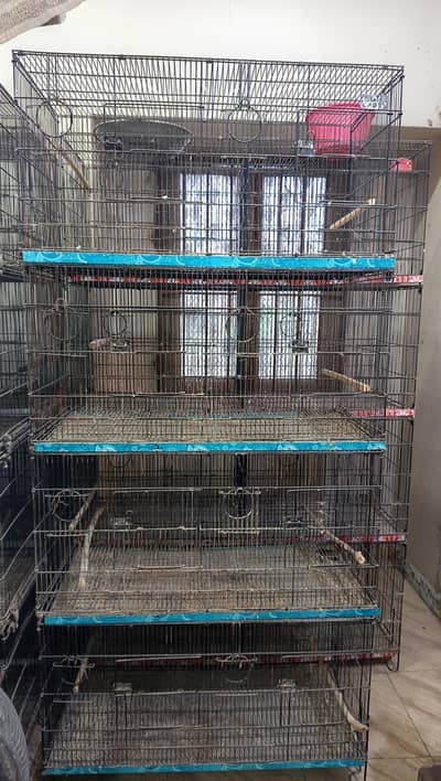 bird cages