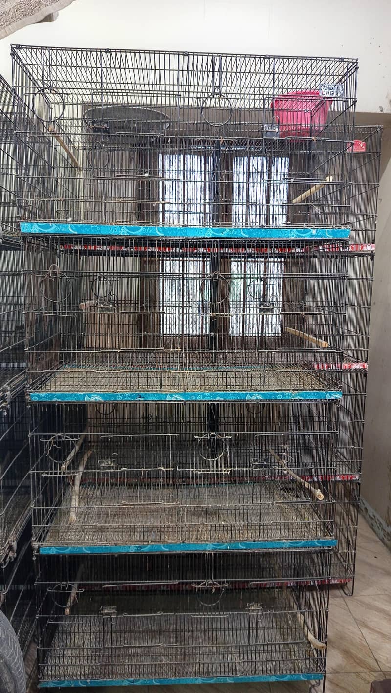 bird cages 0