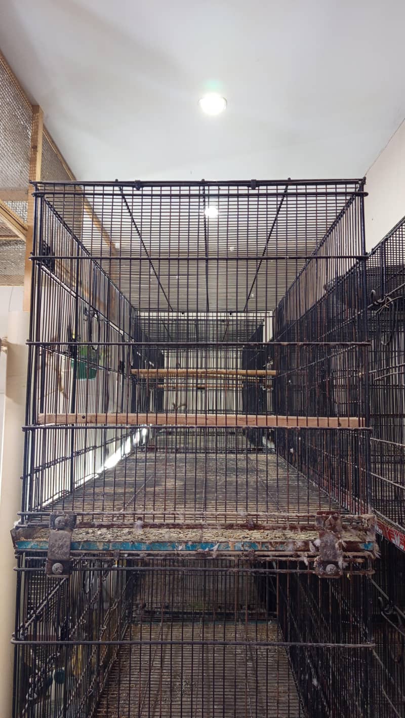 bird cages 1