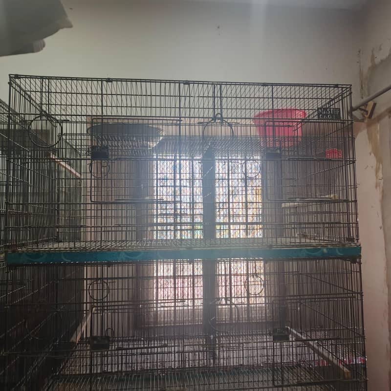bird cages 2