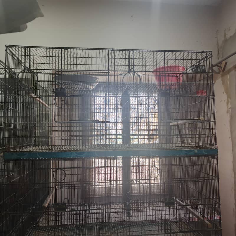 bird cages 3
