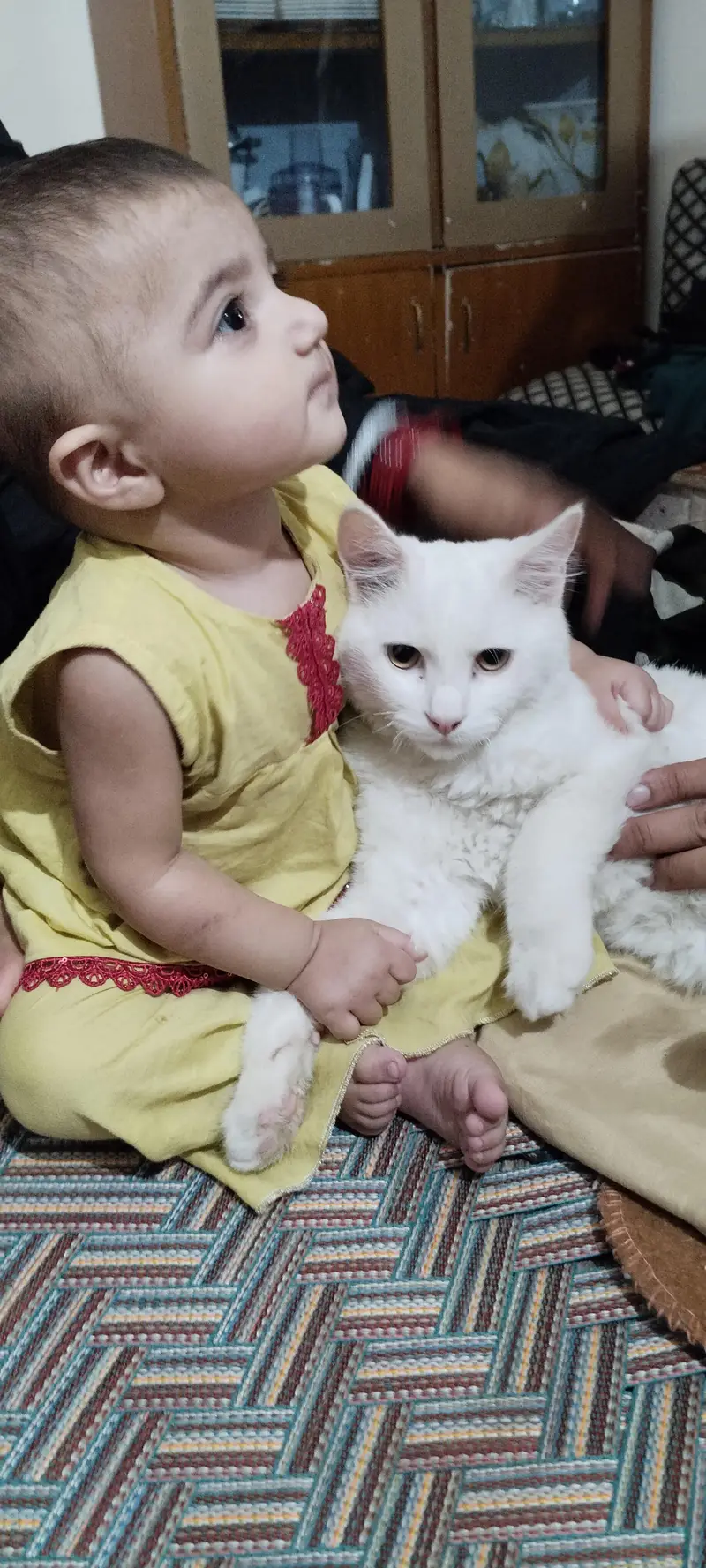serious boyser plz — photo 4