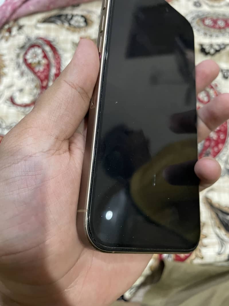 Apple iPhone 16 Pro Max 2