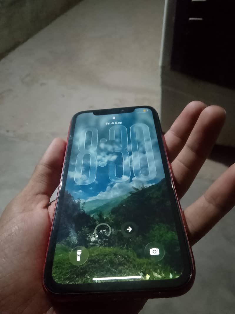 Apple iPhone 11 2