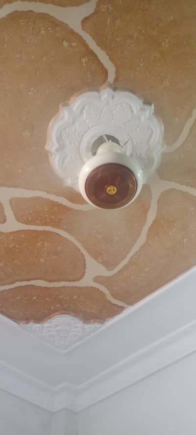 20 days use ceiling fans selling due to shifts
