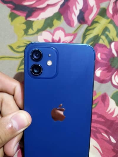 Apple iPhone 12 256 gb non pta