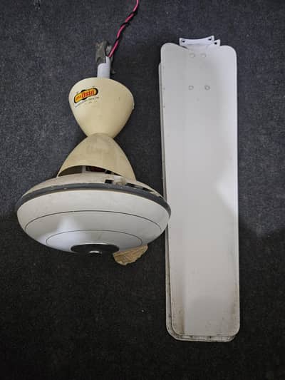 Pak Celling Fan