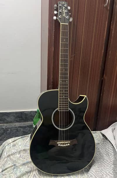 Strindberg guitar