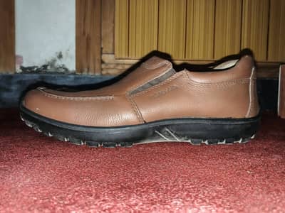 Branded Urbansole Brown Leather Shoes