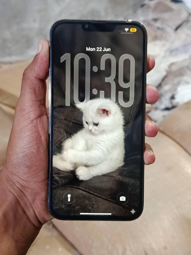 Apple iPhone 13 Pro Max 1