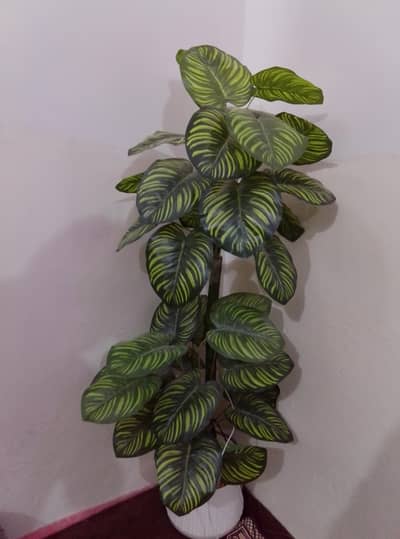 planter