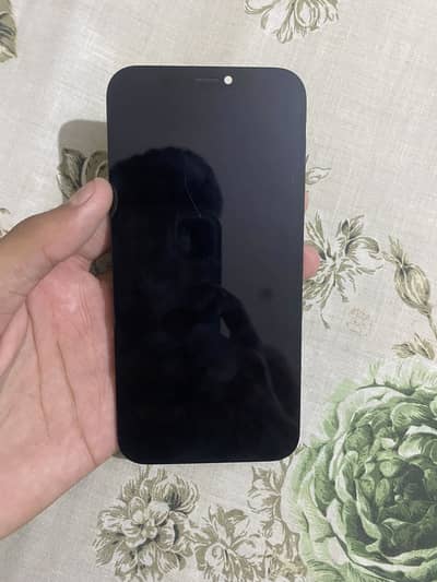 Apple iPhone 12 panal