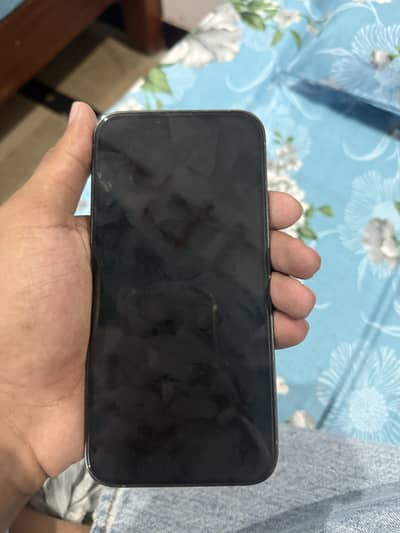 iPhone 13 Pro Max in 10/10 condition