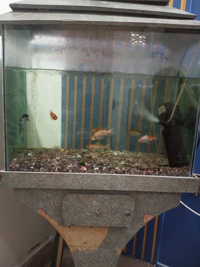 Aquarium