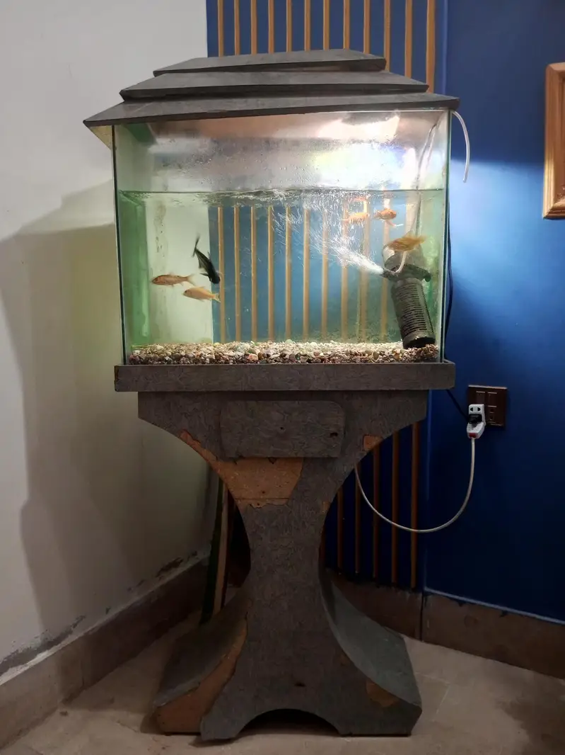 Aquarium — photo 2