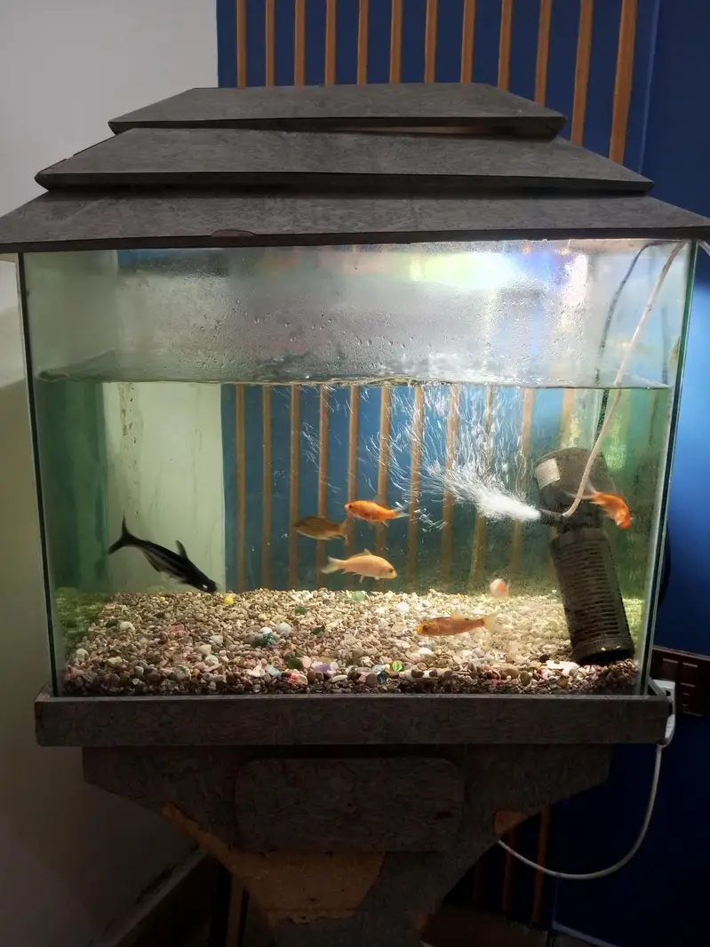 Aquarium — photo 3