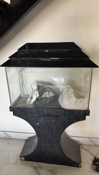 Fish aquarium