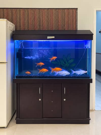 Aquarium