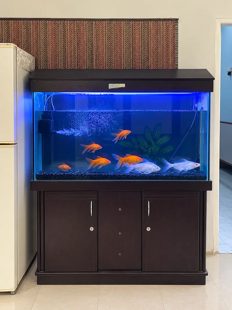 Aquarium